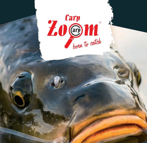 Carp Zoom Carp Fiesta