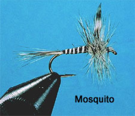 Trockenfliege - Mosquito