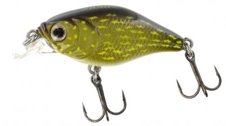 Leurre souple Baby Trout Dragon Diver de Jenzi