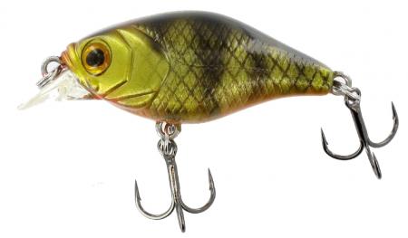 Leurre Jenzi Dragon Diver Baby Trout