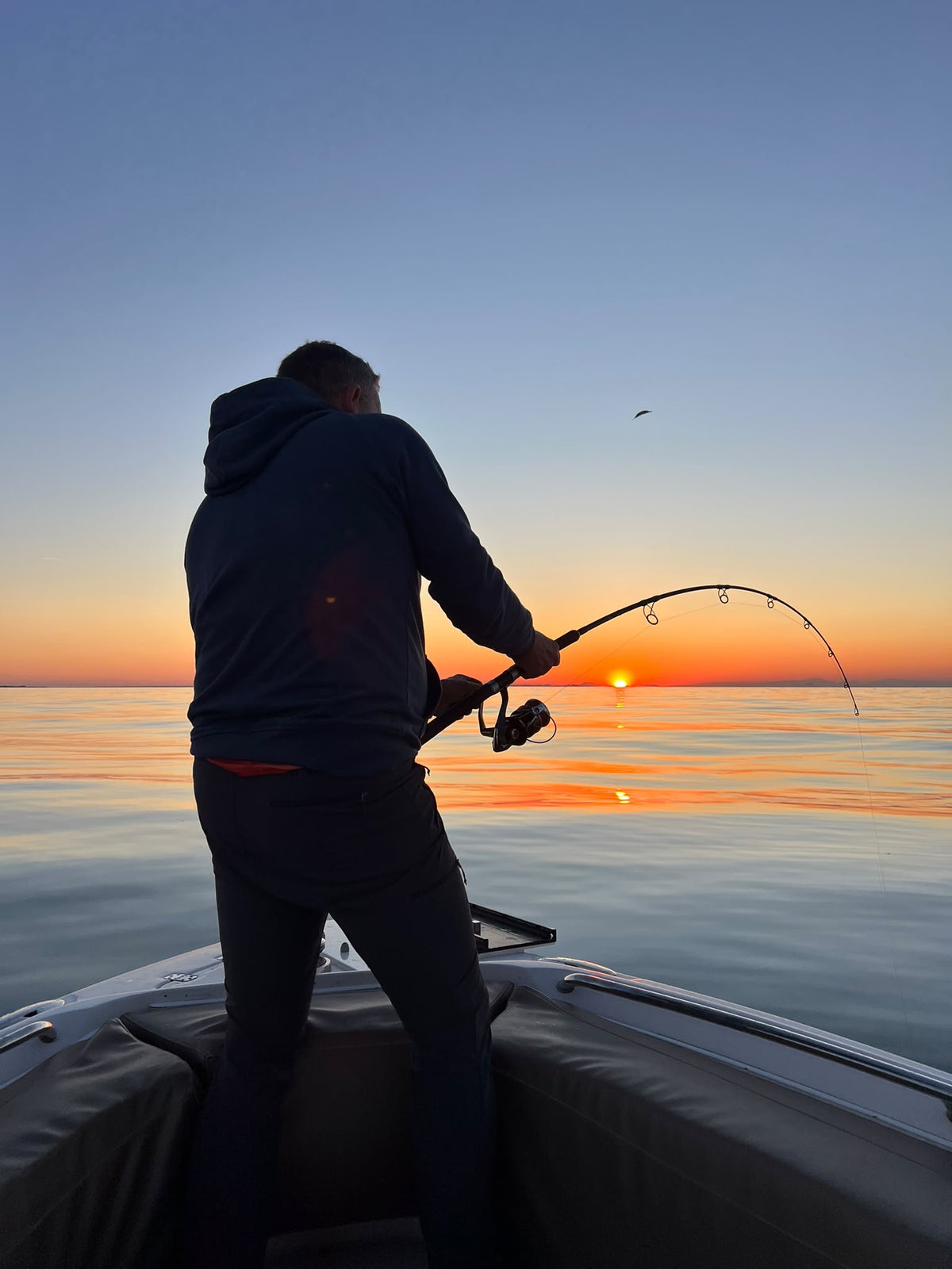 Angler Markt