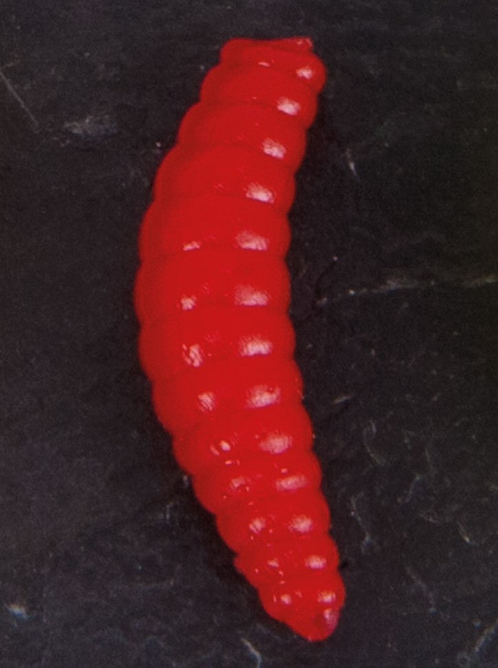Bienenmaden rot künstlich 20 Stck.