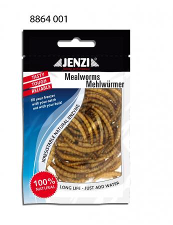 Vers de farine séchés Jenzi