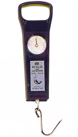 Balance de précision Scale