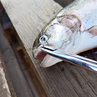 Angler Markt