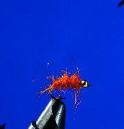 Mouche nymphe tête dorée - orange