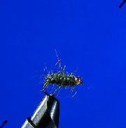 Mouche nymphe tête dorée - vert