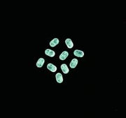 Pilk - Pearl Pilk - Beats