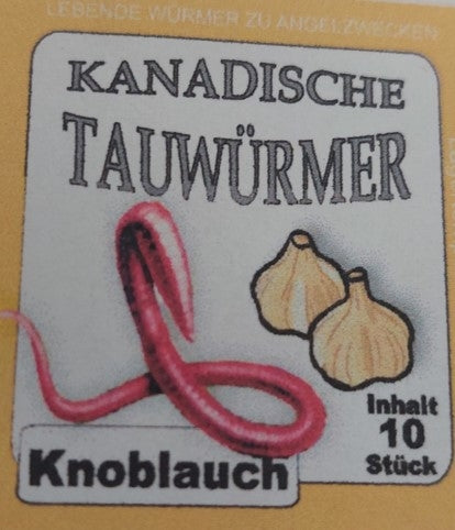 Kanadische Tauwürmer Knoblauch Angelwurm 10 Stück