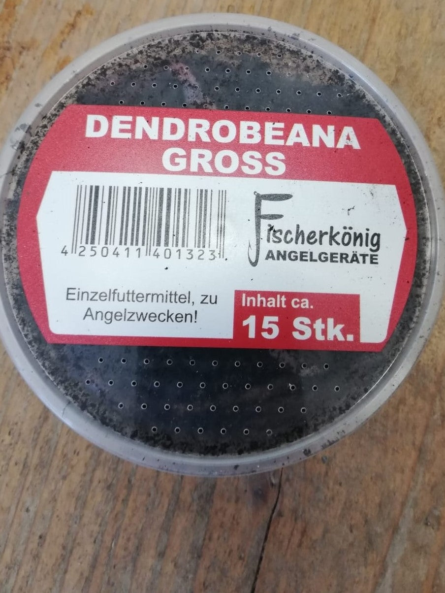 Dendrobena groß Angelwurm 15 Stück