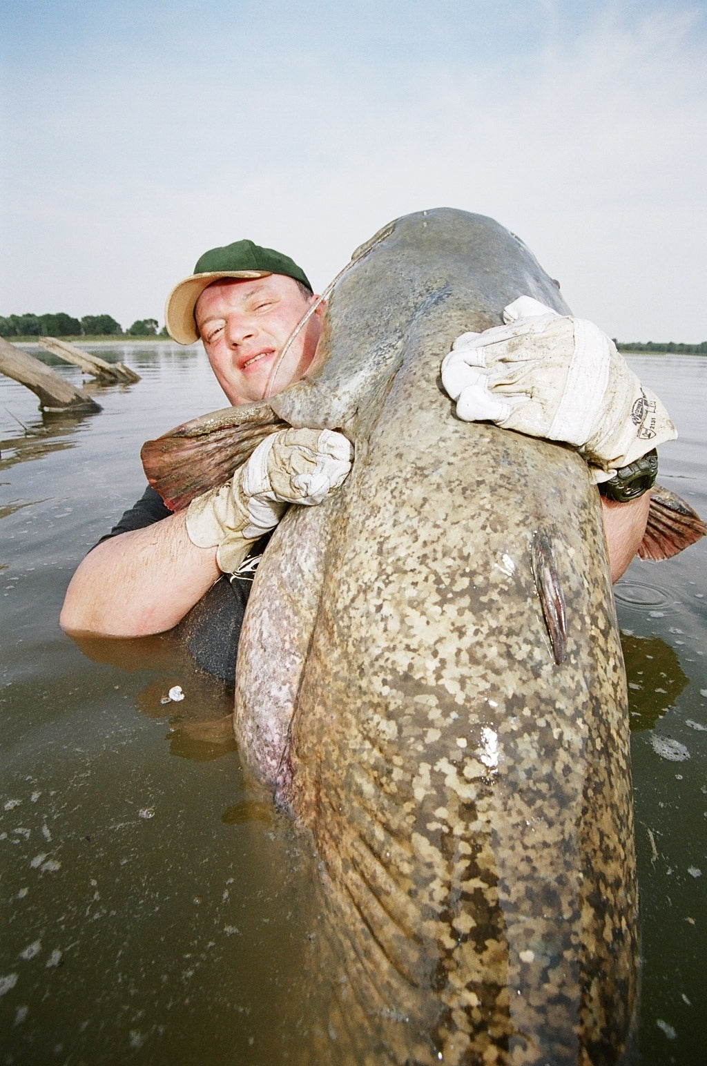 Pro-T Black Catfish Rod