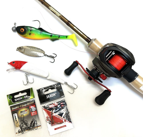 Ensemble de pêche baitcasting pour brochet avec canne, moulinet baitcasting, ligne de pêche, bas de ligne, émerillons et leurres