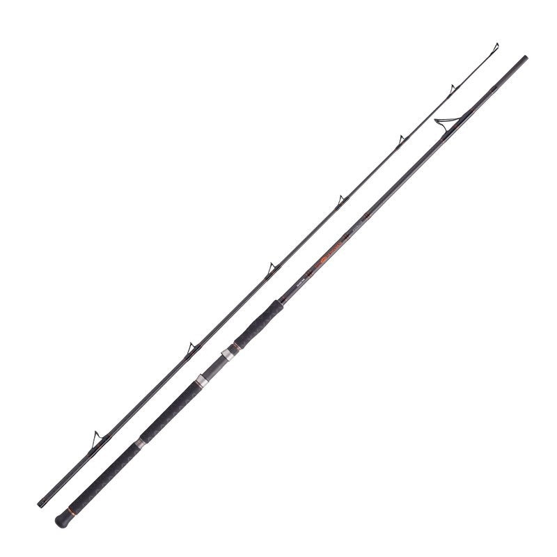 Balzer Adrenalin Cat IM-12 Outback 3,10 Meter bis 650 Gr. WG 1,64 Meter Transport 2teilig