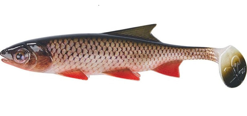 Leurre souple Clone Shad chevesne 15 cm pour la pêche aux carnassiers