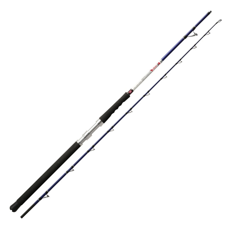 Dega Nordic Seamaster 2,3 Meter bis 200 Gramm Meeresrute Angelrute