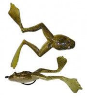Frosch Angelköder