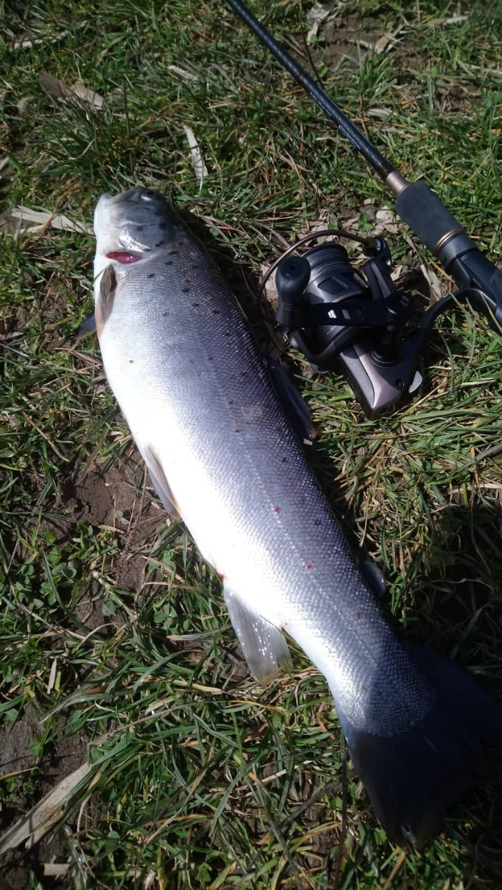 keitech-easy-shiner-2-1