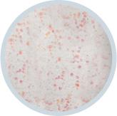 Berkley TROUT-BAIT Glitter Glow