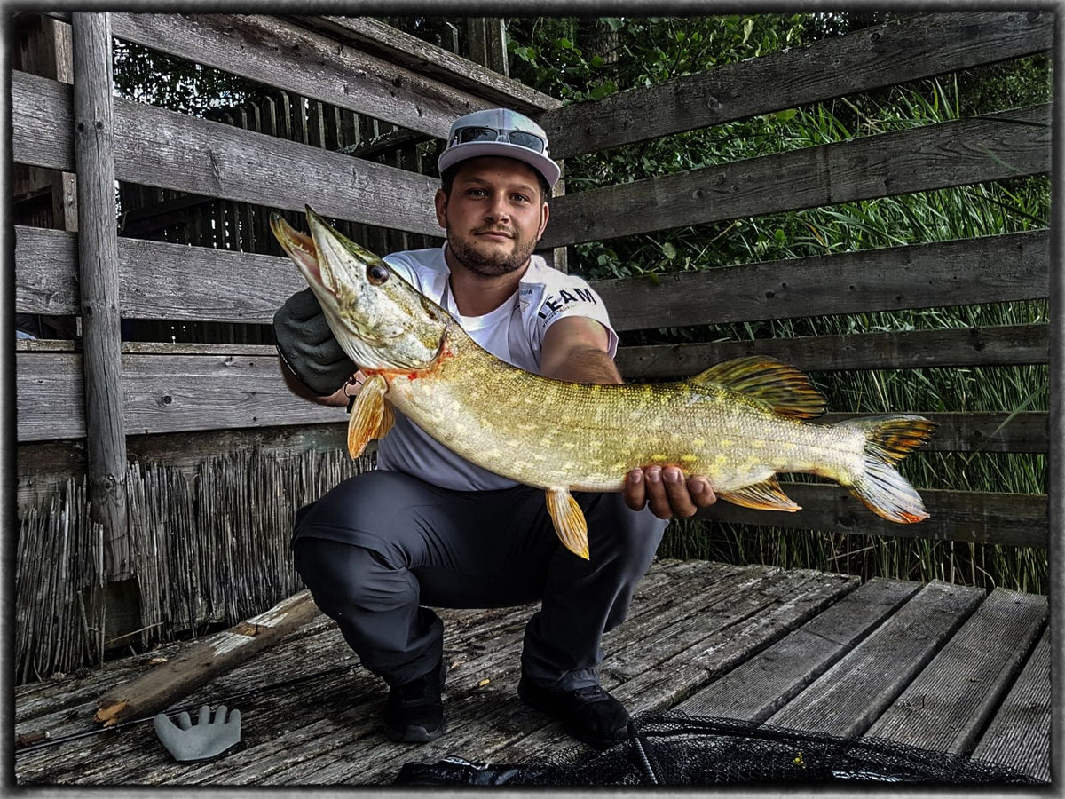 Leurre souple Clone Shad Perche 6,5 cm pour la pêche à la perche et à la truite