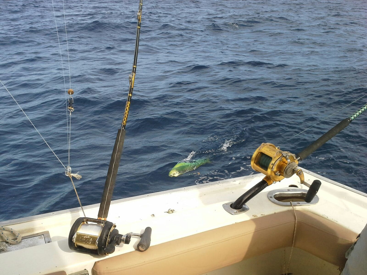 Angelrute Sportex Magnus Travel Boat MT1821 Meeresrute 1,85 Meter 20 lbs WG 3teilige Meeresrute