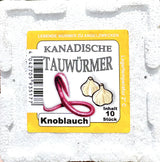 tauwuermer-knoblauch-angelkoeder-angelwurm-angelshop-wurmversand-1