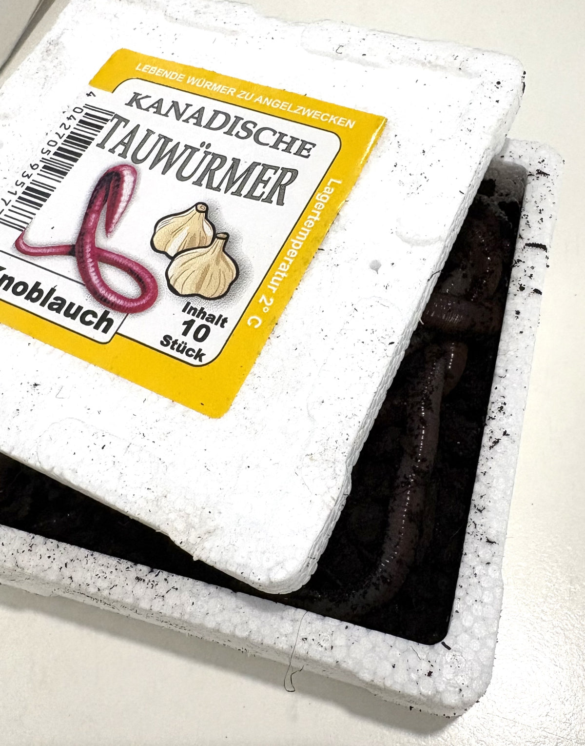 tauwuermer-knoblauch-angelkoeder-angelwurm-angelshop-wurmversand-2
