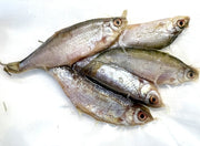 Koederfische-rotaugen-6-bis-9-cm-gefroren-deadbait-angelkoeder-kaufen