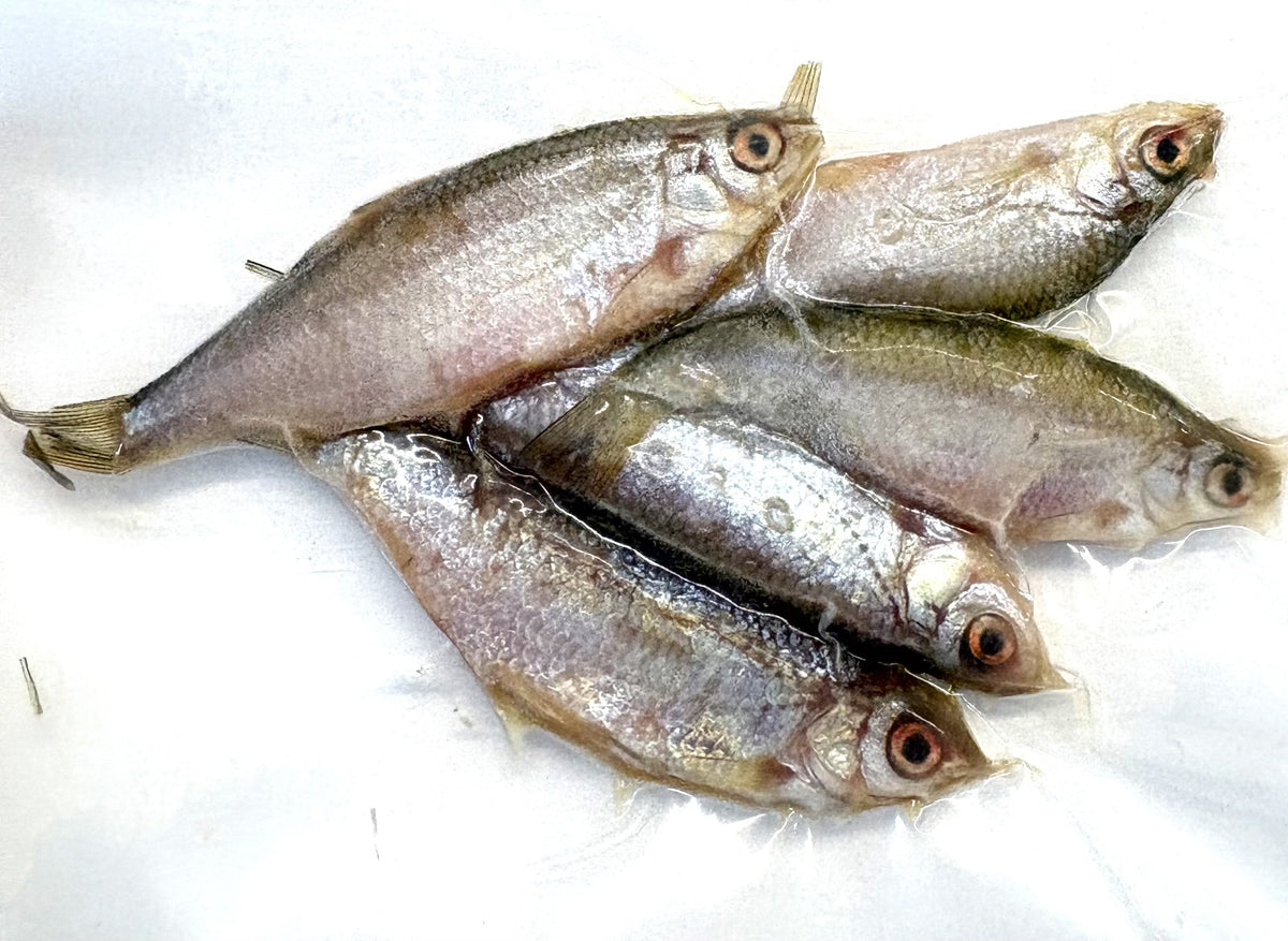Koederfische-rotaugen-6-bis-9-cm-gefroren-deadbait-angelkoeder-kaufen