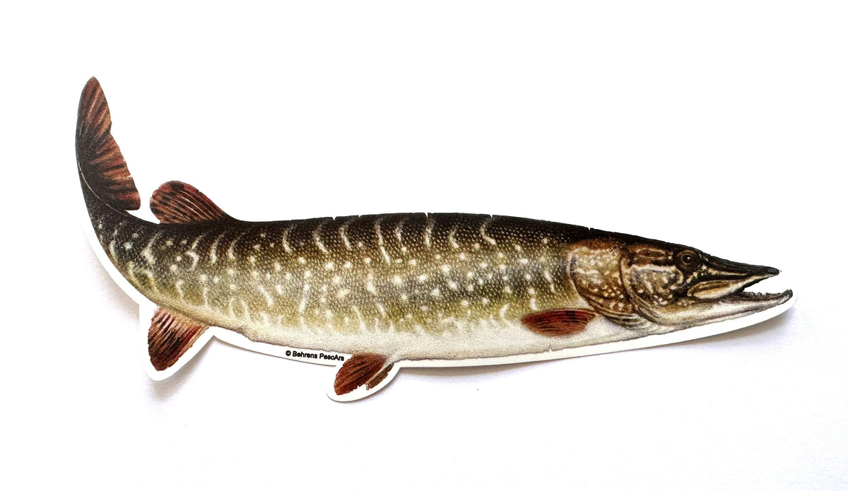 jenzi-aufkleber-hecht-motiv-angelaufkleber-aufkleber-fuer-angler-und-auto