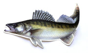jenzi-aufkleber-zander-motiv-angelaufkleber-aufkleber-fuer-angler-und-auto
