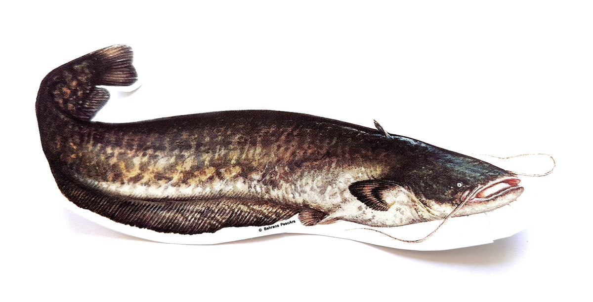 jenzi-aufkleber-wels-motiv-angelaufkleber-aufkleber-fuer-angler-und-auto