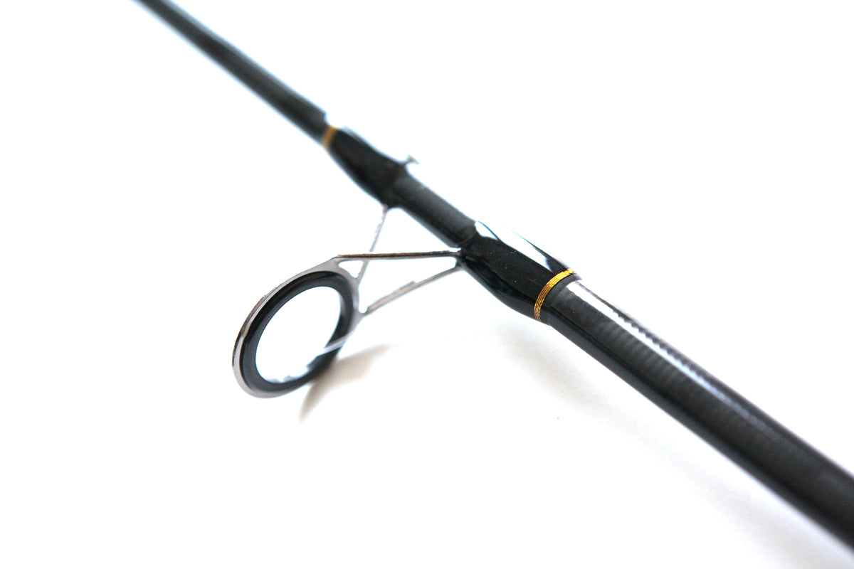 Ensemble de pêche avec canne et moulinet, canne de 2,7 mètres, moulinet avec fil de 0,28 mm