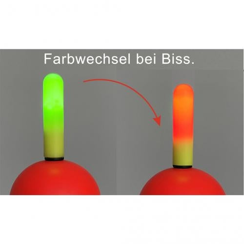 jenzi-elektropose-bissanzeige-nachtangeln-3