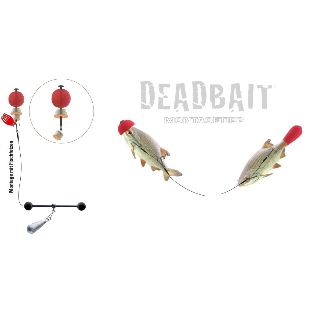 Jenzi Deadbait Pop Up Kit mit 3 Köpfen ideal für das Angeln mit totem Köderifisch