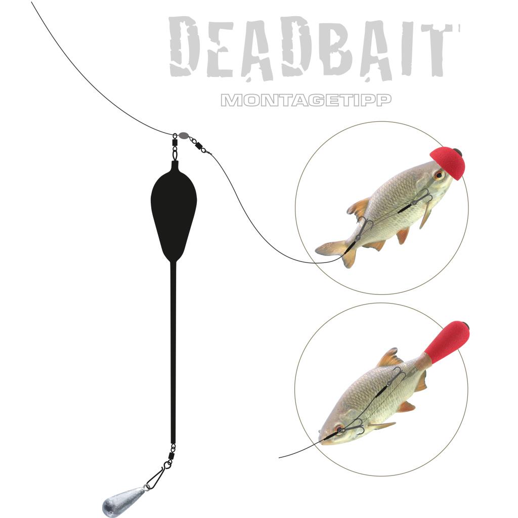 Jenzi Deadbait Pop Up Kit mit 3 Köpfen ideal für das Angeln mit totem Köderifisch