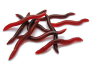 Ver de terre artificiel 15 pcs.