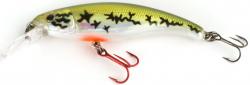 Poisson nageur Fox Rage Slick Stick SR