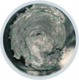Berkley Trout Bait -Neue Farbe-