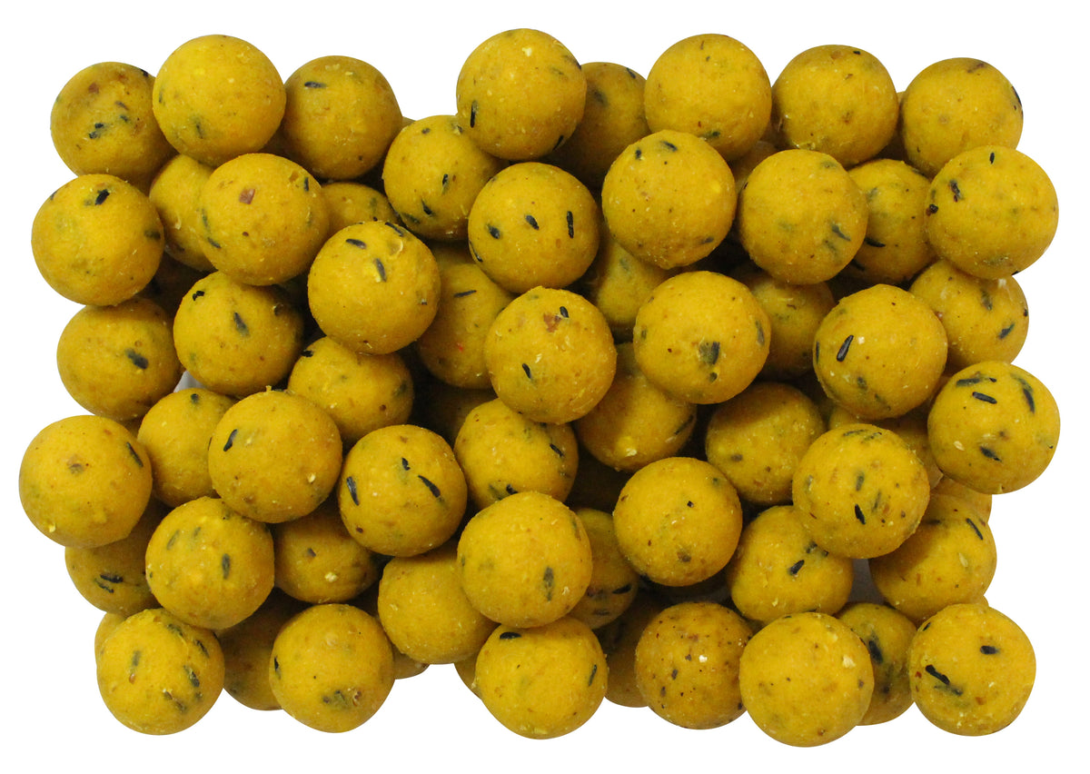 senshi-baits-boilie-banane-mais-angelkoeder-fuer-karpfen-online-guenstig-kaufen-boiliemontage-2