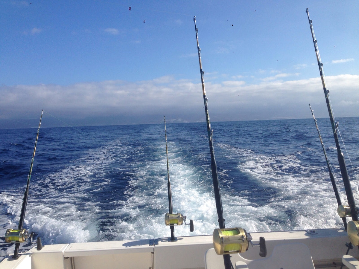 Balzer Adrenalin Light 135, 2,40 m