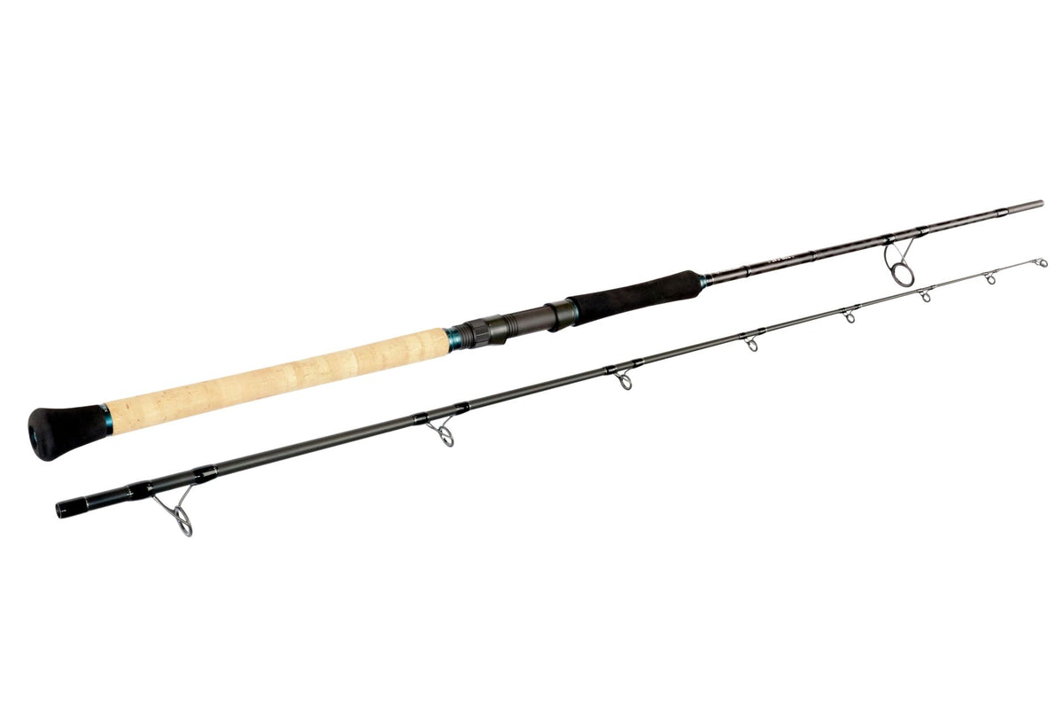 sportex-top-cat-cs-2-welsrute-wallerrute-angelrute-kaufen-guenstig-1