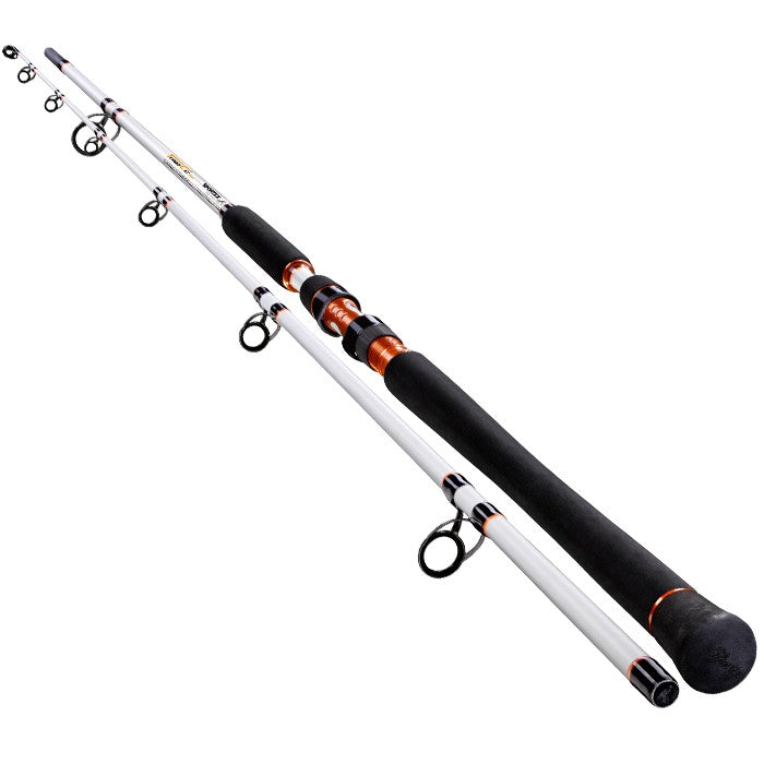 Canne à pêche au silure Sportex Turbo Cat Spin TC 3017