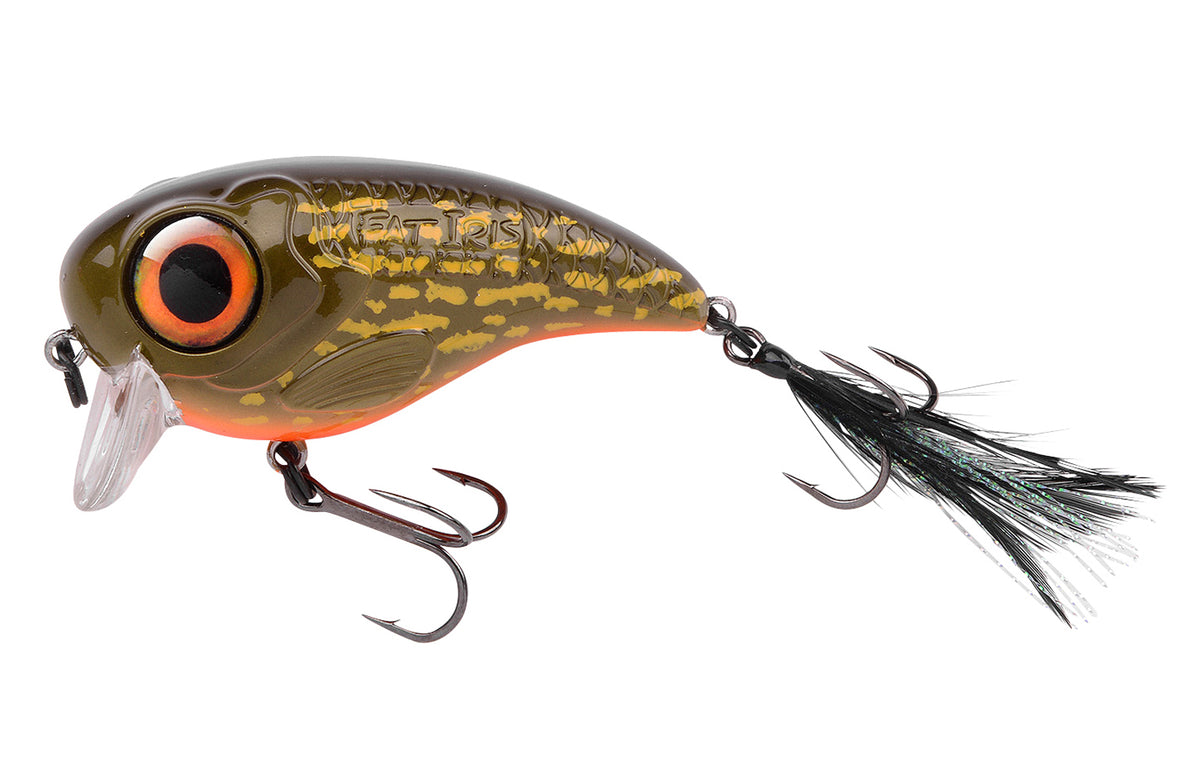 Spro Fat Iris Wobbler Kunstköder Farbe Pikey 60 mm 17 Gramm Hechtwobbler