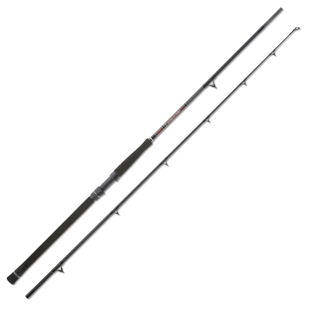 Uni Cat Dream Fish Pro 2,70m 200-600g Welsrute Wallerrute