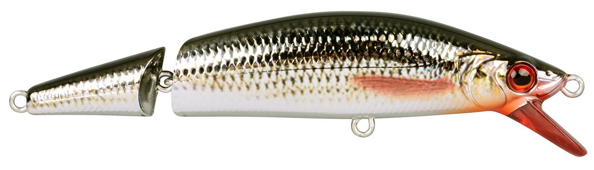 Wobbler Spro Ikiru Jointed 110 1,5 Meter Tauchtiefe 22 Gramm 110 mm 2teilig Rotauge