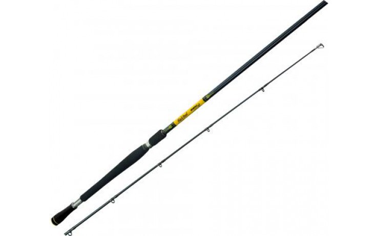 Sportex Black Pearl BR 2401 Spinnrute