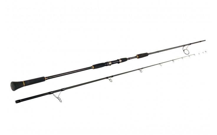 sportex-sturgeon-angelrute-sportex-angelrute-guenstig-kaufen-online-1