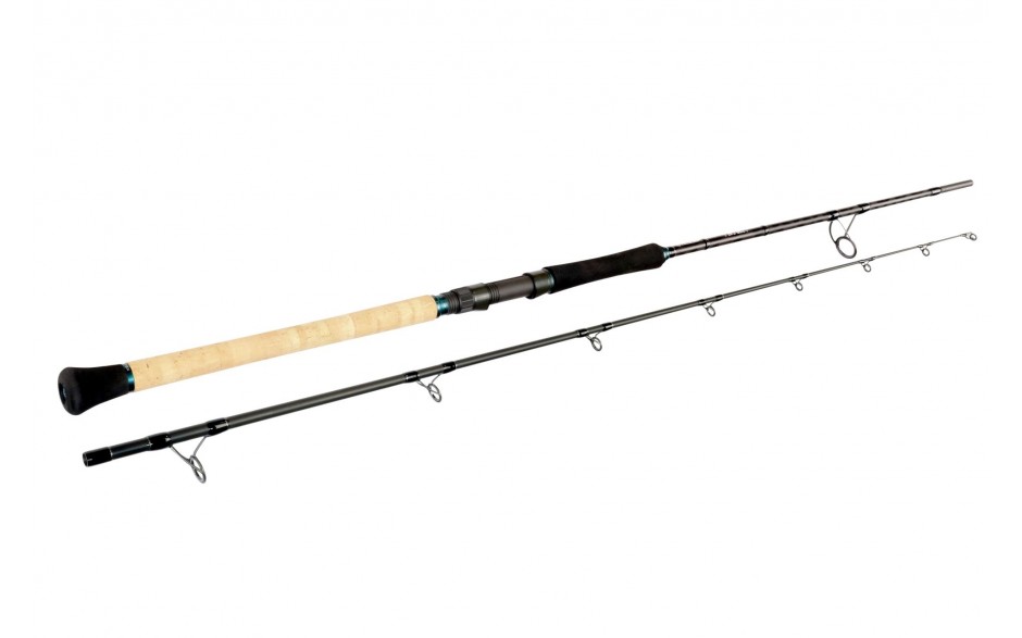 sportex-top-cat-cs-2-welsrute-wallerrute-angelrute-kaufen-guenstig-1