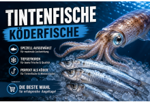 sandaale-koederische-guenstig-online-kaufen-1