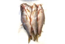 rotaugen-koederfische-deadbait-10-bis-15-cm-angelkoeder-kaufen-online